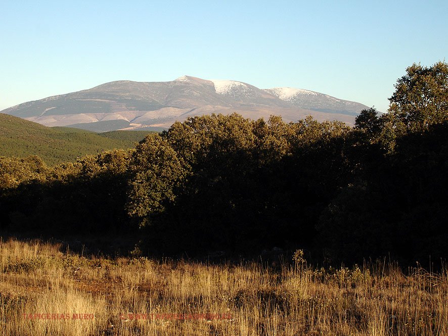 moncayo20081