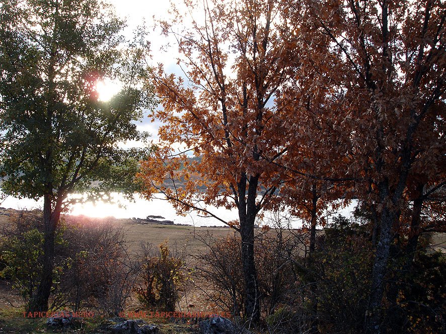 Cuerda del Pozo nov 2007 1